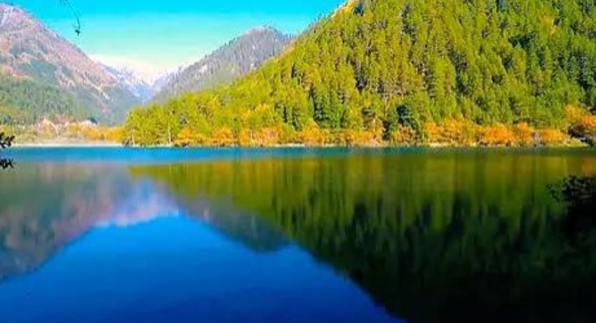 短剧投研交流区 - 爱情岛论坛 - 热门短剧案例深度拆解与玩法分享专区